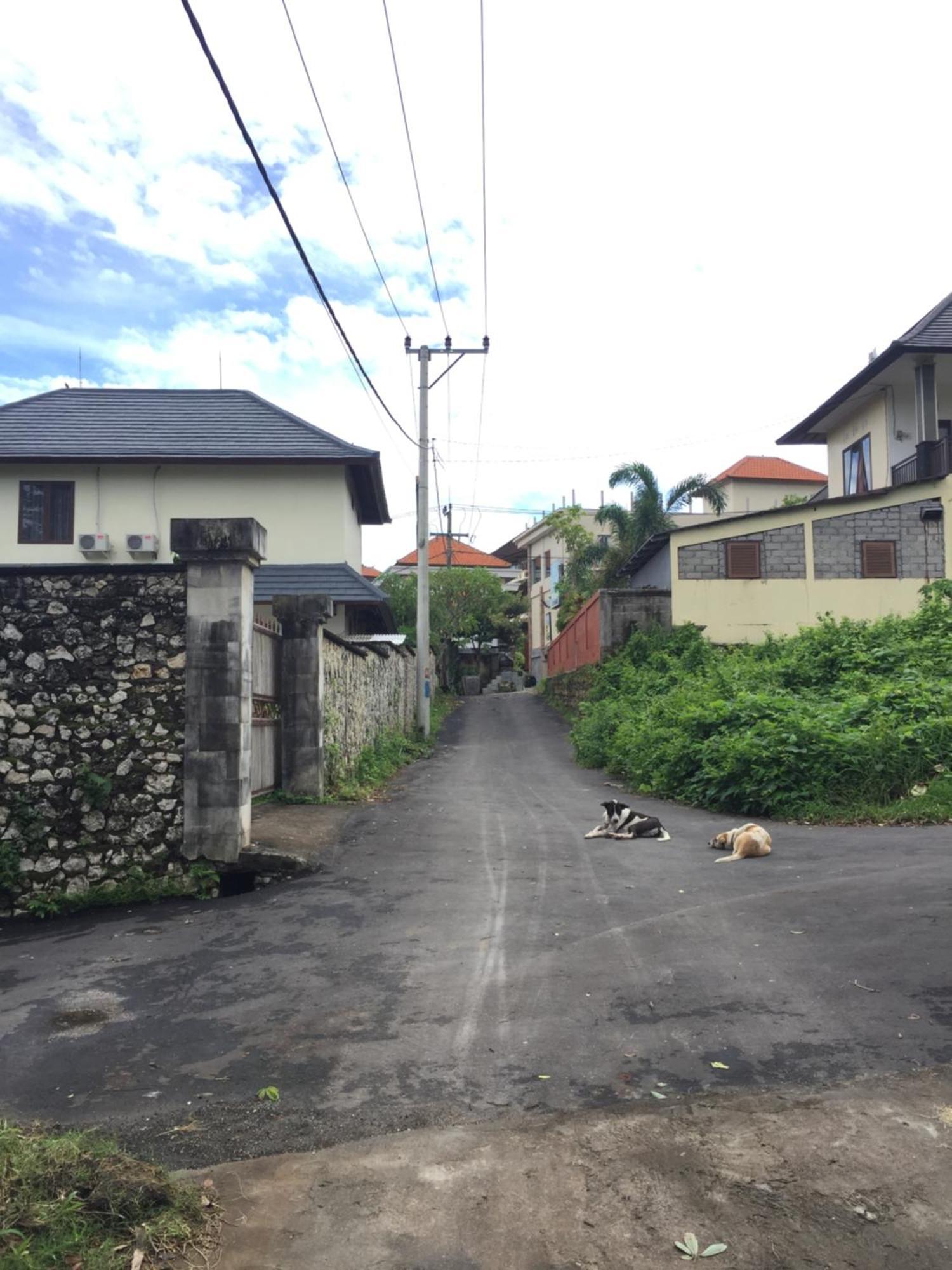 Satria Bungalow Uluwatu  Bagian luar foto